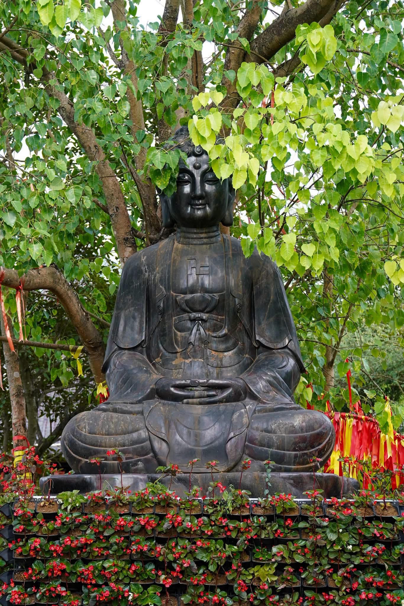 Lời Khấn Nguyện Mỗi Ngày