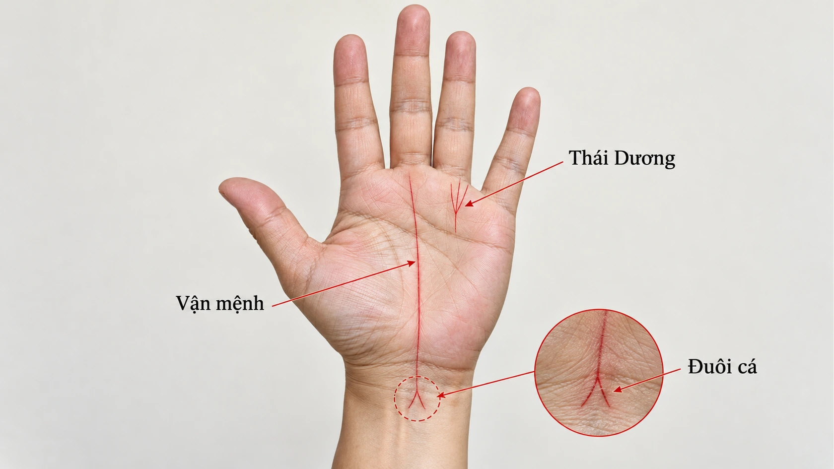 Đoán biết người có số giàu sang qua chỉ tay