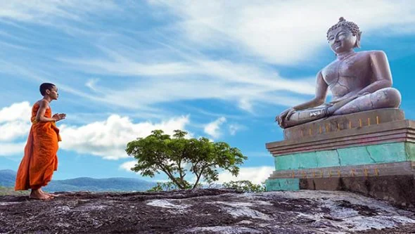 Bảy bước thăng trầm