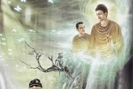 Cải hoá Nanda