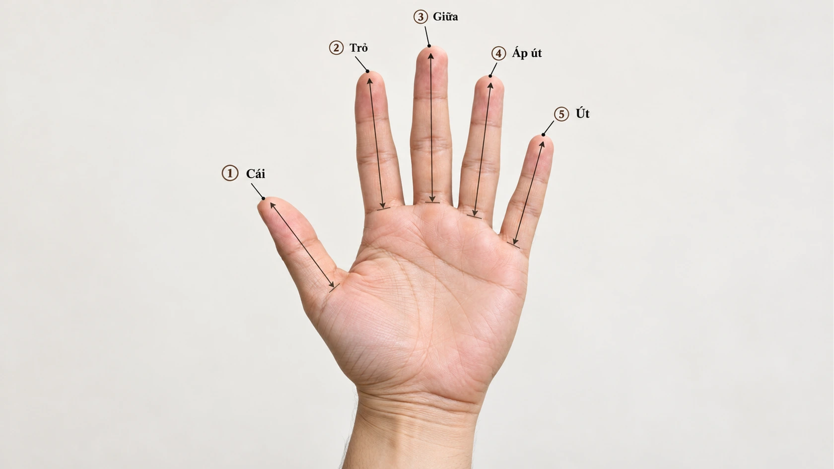 Mối liên hệ giữa ngón tay và tính cách
