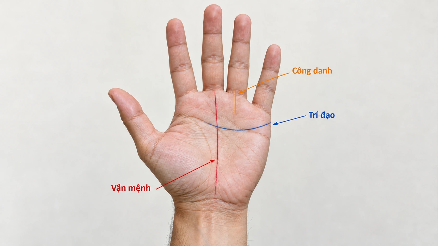Những đường chỉ tay báo hiệu bản lĩnh hơn người