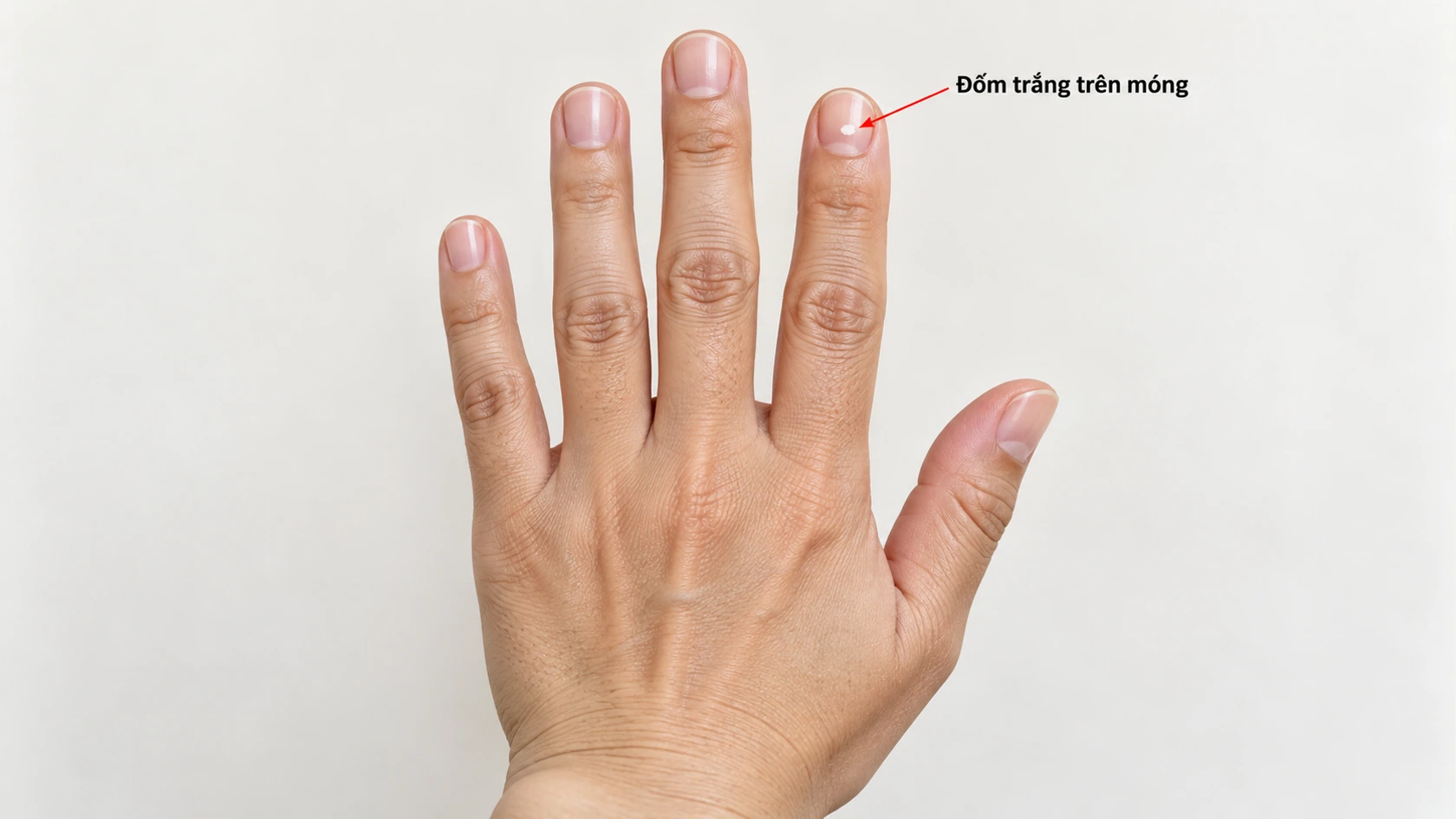 Hạt gạo trên móng tay có ý nghĩa gì?