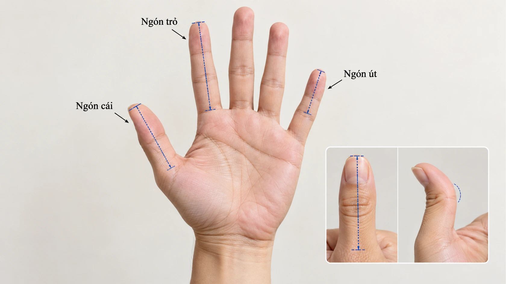 Độ dài các ngón tay nói lên tính cách con người