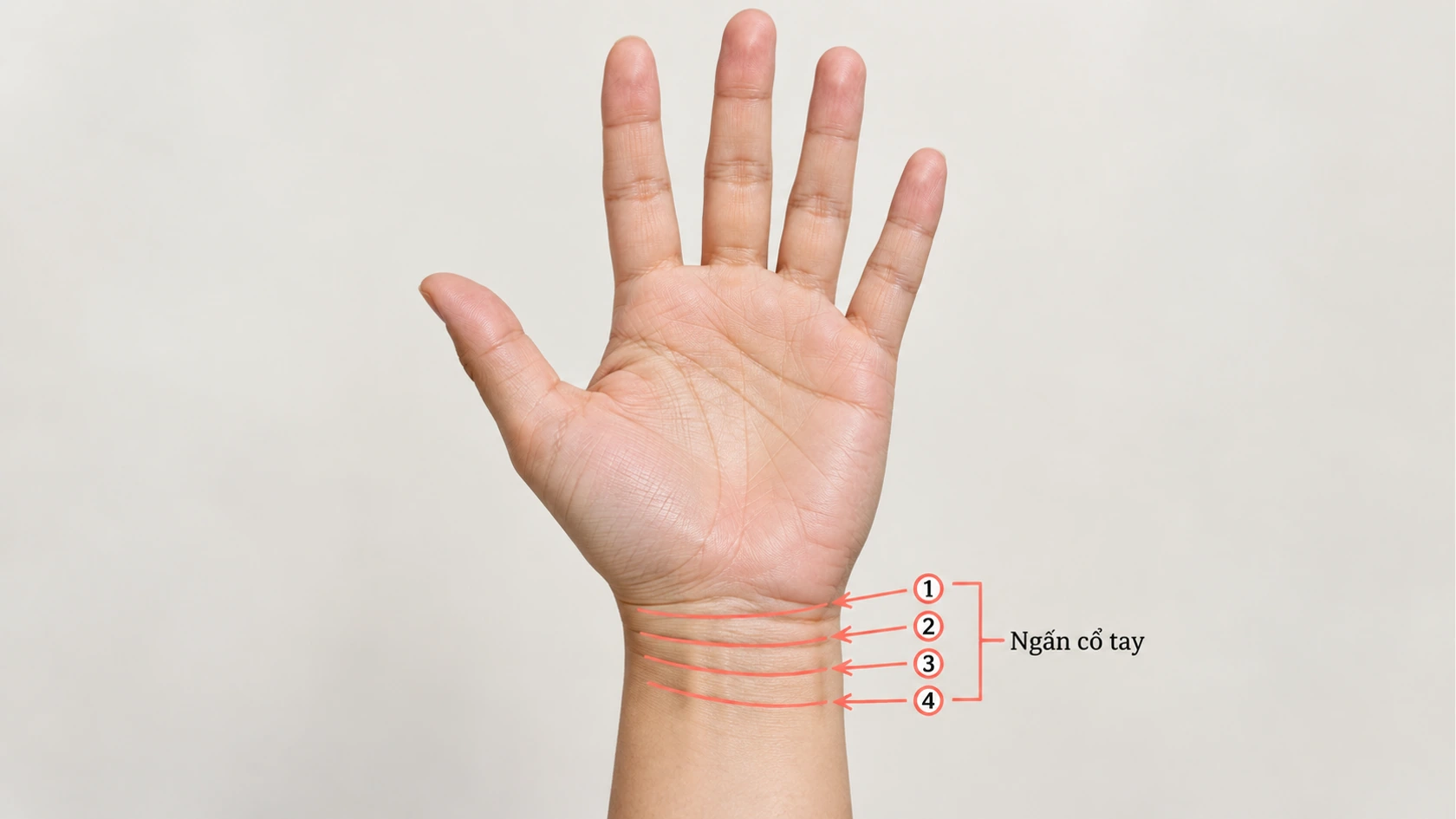 Ý nghĩa việc xem ngấn cổ tay