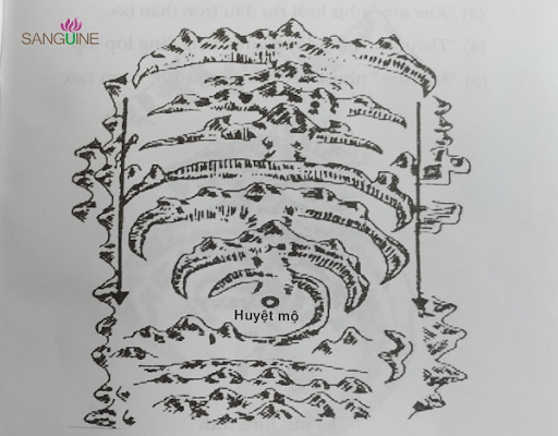Phong Thủy Âm Trạch